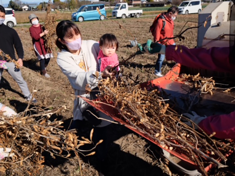 豆ごっこ ＠あぐり村  種から大豆育てる味噌づくり体験がスタート　埼玉北部エリアなど実行委員会　